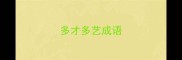 多才多艺成语