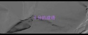 十分的成语