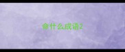 命什么成语