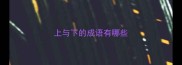 上与下的成语有哪些