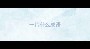 一片什么成语