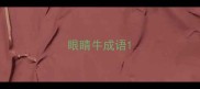眼睛牛成语