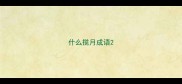 什么揽月成语