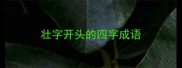 壮字开头的四字成语