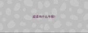 成语鸡什么牛猴
