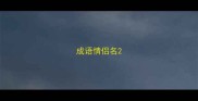 成语情侣名