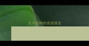 龙马精神的成语接龙