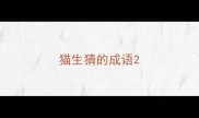 猫生猜的成语