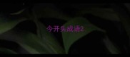 今开头成语