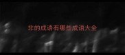 非的成语有哪些成语大全