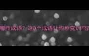 训练马有哪些成语这8个成语让你秒变训马高手