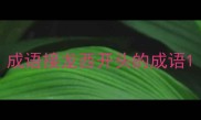 成语接龙西开头的成语