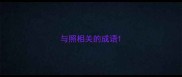 与照相关的成语