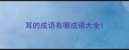 耳的成语有哪成语大全