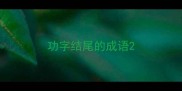 功字结尾的成语