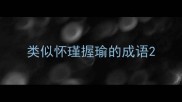 类似怀瑾握瑜的成语
