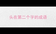 头在第二个字的成语