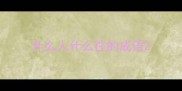 什么人什么往的成语