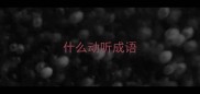 什么动听成语