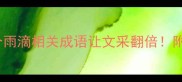 雨滴成语全攻略这10个雨滴相关成语让文采翻倍附诗词运用技巧附图解
