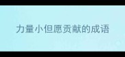 力量小但愿贡献的成语