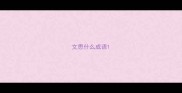 文思什么成语