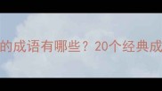 常见包含如字的成语有哪些20个经典成语及用法指南