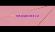 命成语有哪些成语大全
