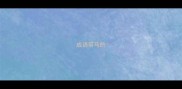 成语带马的