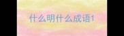 什么明什么成语