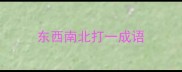 东西南北打一成语