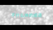 不什么体的成语