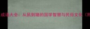 十二生肖成语大全从鼠到猪的国学智慧与民俗文化附详细