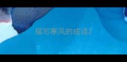 描写寒风的成语