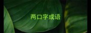 两口字成语