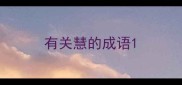 有关慧的成语