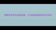 鹦鹉学舌同义成语深度5个经典成语的妙用与区别