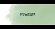 醒的成语吗