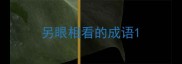 另眼相看的成语