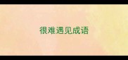 很难遇见成语