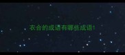 衣合的成语有哪些成语