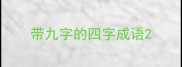 带九字的四字成语