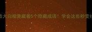 成语谐音大白相竟藏着5个隐藏成语学会这些秒变社交达人