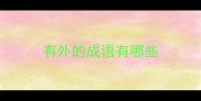 有外的成语有哪些