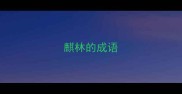 麒林的成语
