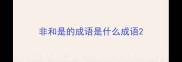 非和是的成语是什么成语