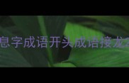 息字成语开头成语接龙
