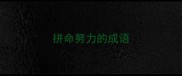 拼命努力的成语