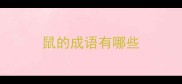 鼠的成语有哪些