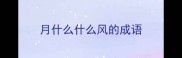 月什么什么风的成语